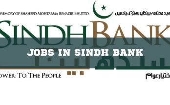 Jobs in Sindh Bank
