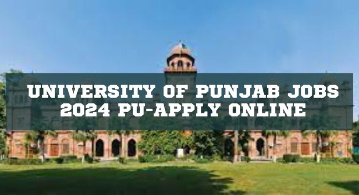 University of Punjab Jobs