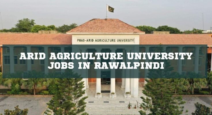 Arid Agriculture University Jobs in Rawalpindi