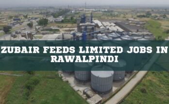 Zubair Feeds Limited Jobs in Rawalpindi
