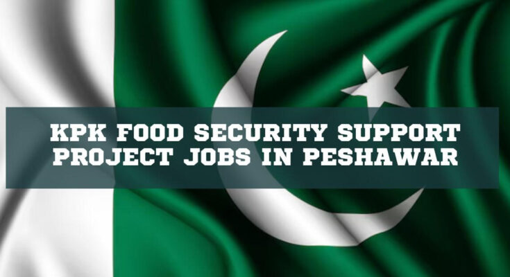 KPK Food Security Support Project Jobs in Peshawar